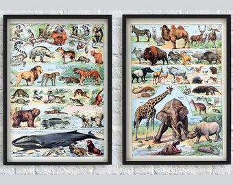 Affiche animaux | Etsy