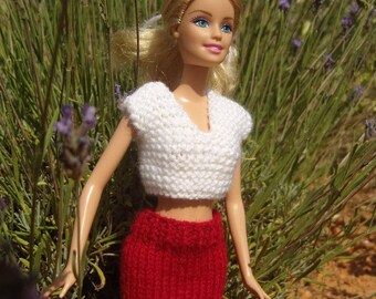 Outfit for Barbie skirt and top
