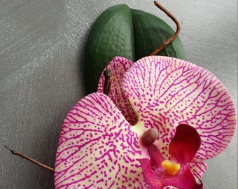 Orchid boutonniere