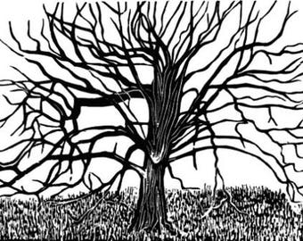 Park Hornbeam original woodcut print