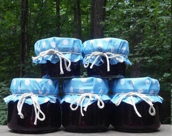 Homemade Blueberry Jelly