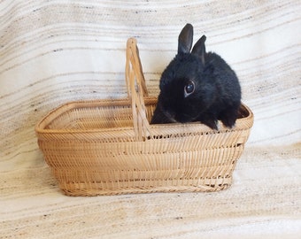 Vintage wicker Easter basket/70s straw basket with handle