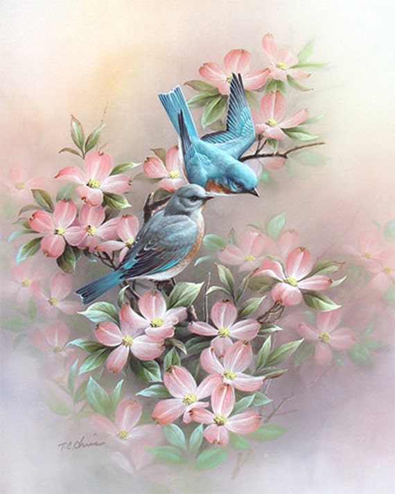 Blue Bird Art Print of Watercolor Painting Dogwood Flowers