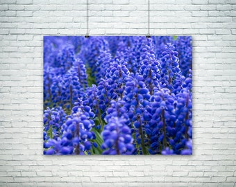 Nature Photography, Flower Art, Blue Home Decor, Summer Wall Art, Large Wall Art, Macro Print, Vivid Print