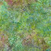 Batik Fabric, 1/2 Yard, Robert Kaufman, Quilting, Batik, Clothing, Pond