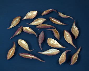 20 Dried Milkweed Pods Seed Pods Asclepias syriaca Craft Supplies Nature Crafting Christmas decor Milkweed Pods wine and gold color
