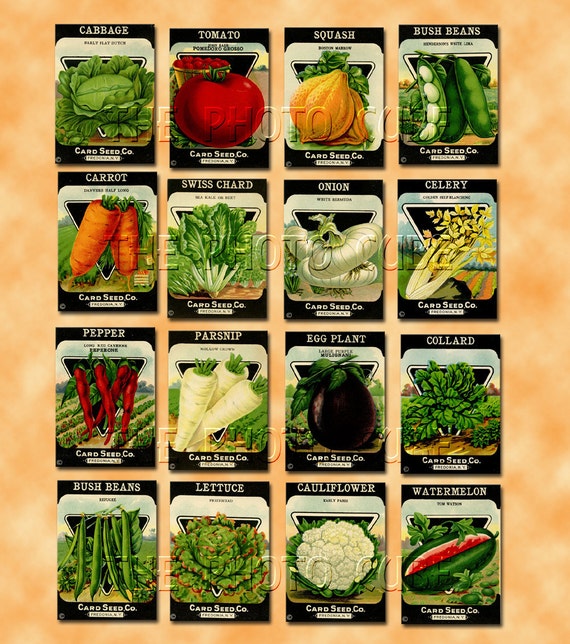 Vegetable Seed Packets Printable
