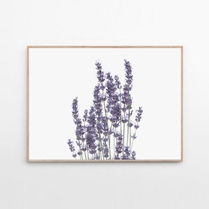 Lavender wall art | Etsy