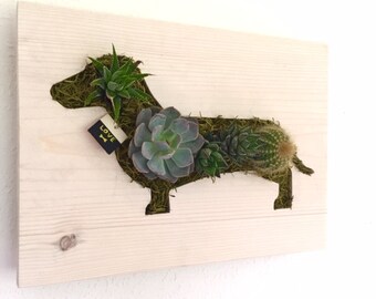 CADEAU de fête des pères : Teckel Doxie succulente et jardin de cactus Vertical | Jardinière en vertical | Mur vivant | Jardinière murale