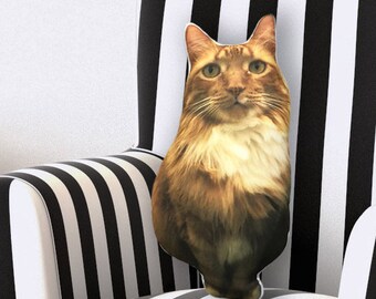 Personalized cat pillow, decorative pillows, custom cat pillow, cat lover gift, animal pillow, custom gift, gift for her, shaped pillow