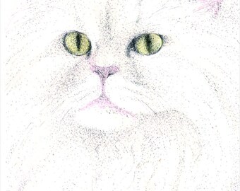 ATC ACEO Pompfrey White Persian Cat Art Card