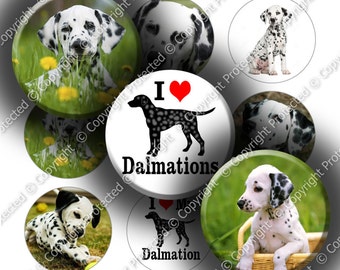 Digital Bottle Cap Collage Sheet - Love Dalmations (964) - 1" Digital Bottle Cap Images
