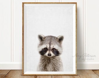 Raccoon art | Etsy