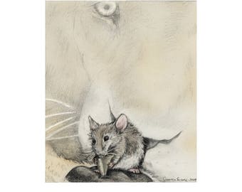 Androcles And The Lion