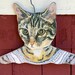Amazing Tabby Cat Hanger designed by artist Annie Rhinehart Made in USA By Stupell