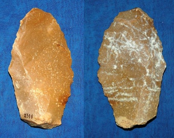 Neanderthal convergent scraper