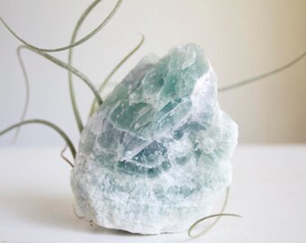 Air Plant on Aqua Fluorite, Air Planter on Sea Green Crystal Chunk, Airplant display, Boho Mermaid Decor, Summer Beach House decor