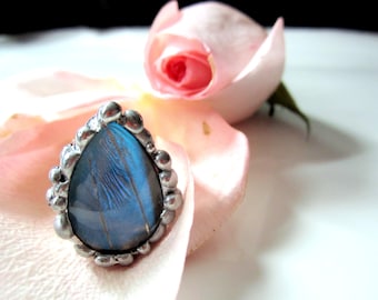 Real Butterfly Ring, Blue Morpho Zephyritis