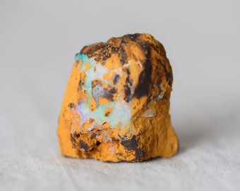 Rough Boulder Opal