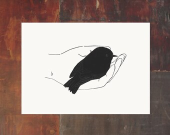 New Zealand Bird Archival Art Print - Black Robin