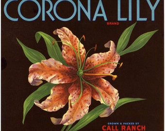 Corona Lily Brand Orange Crate Label