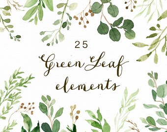 Watercolor Green Leaf Elements/Greenery/Eucalyptus/Wild Leaf/Spring/Green