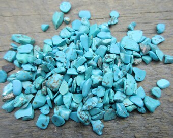 1 Oz. Turquoise Chips, No Hole