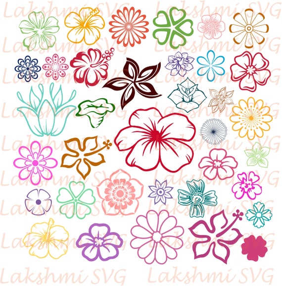 Download Flower SVG Bundle Flower clipart Flower cut files svg files