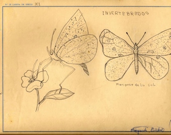 Old pencil drawings from 1956 - Spain