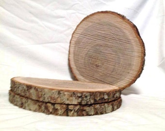 6 Wood Slices 10” to 12” Rustic Wedding Centerpieces, Crafts, Tree Slices, Wood Rounds, Log Slices, Wood Slab, Wood Slices
