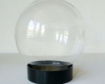 Vintage Glass Globe Flower Aquarium