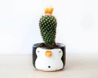 Ceramic penguin planter, Cute ceramic penguin plant pot, Succulent planters, Ceramics & pottery, Planter flower pot, Kawaii animals planters