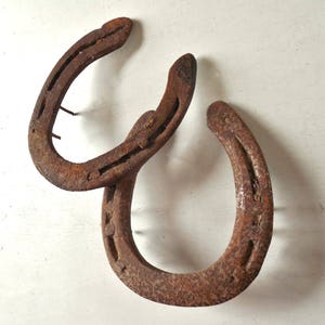 Old Lucky Horseshoe & Nails ~ Barn Door and Wall Art /item#0625