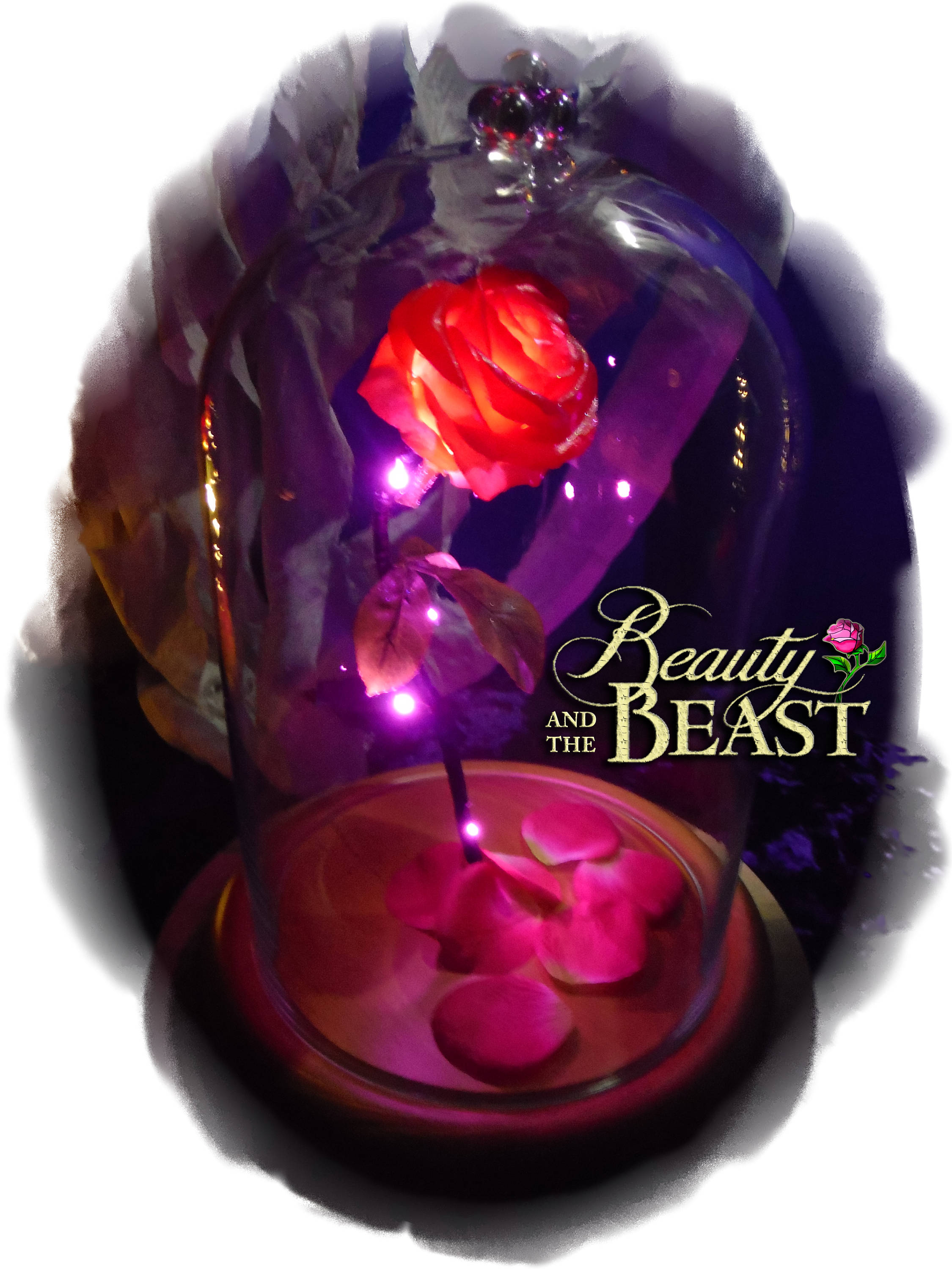 happy valentines day beauty and beast