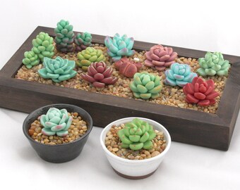 Potted Fake Succulents