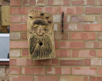 Larger Treebeard BirdBox NestBox