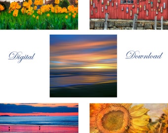 Digital download of 5 Images
