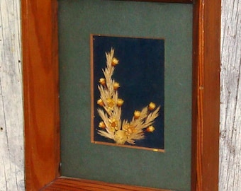 Framed Picture Dried Flowers