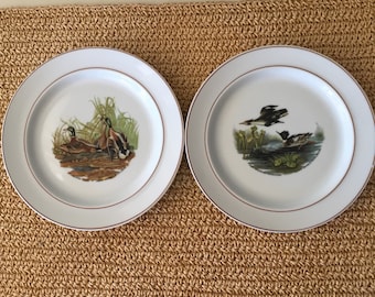 JKW James Audobon Bird Plates