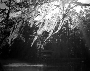 Black and white river