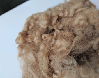 Naturally Dyed Border Leicester Wool Locks - Autumn Leaves