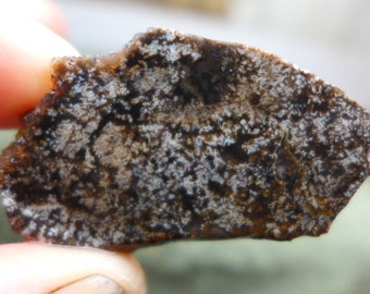 Horse Canyon Agate Preform Cabochon