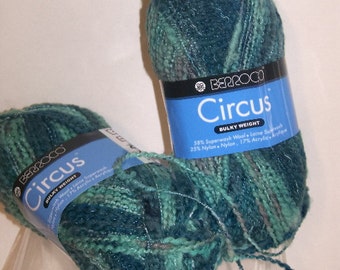 Berroco Circus Green/Turquoise Multi Wool Blend Yarn 2skeins