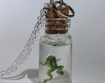 Frog in a bottle specimen charm necklace