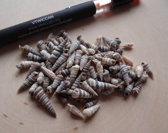 Shells for Grids * RHINOCLAVIS * Shells Set of 20 for Gemstone Grid Layouts