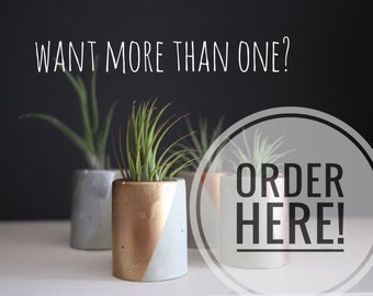 Multiple Mini Concrete Planters. Make Your Own Set of Mini Concrete Planters. Concrete Planters. Small Concrete Planters.