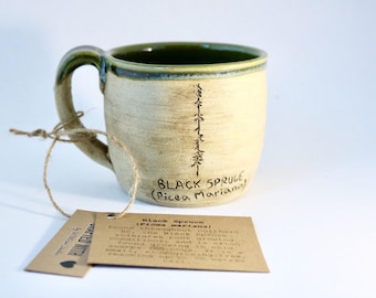 BC Black Spruce Mug (Raw Blackbird and Forest Green)