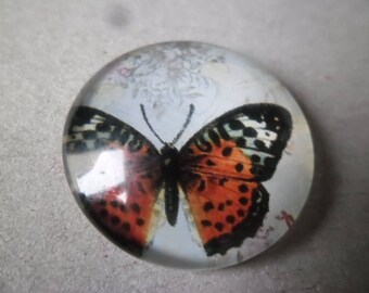 x 1 cameo/cabochon round glass dome vintage 25 mm Butterfly pattern