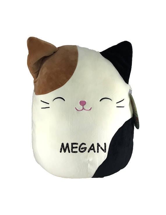Customized 8 and 13 16 Cat  Squishmallow 