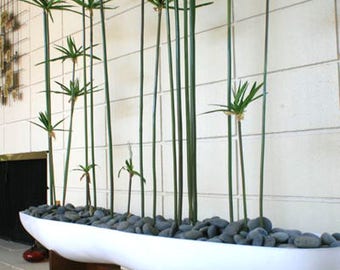Architectural pottery Mid century Modern style Peanut Planter Case study style.
